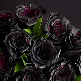 Header navigation sub menu